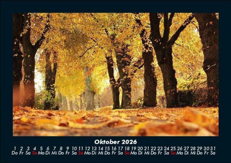 Produktbild: B&auml;ume 2026 Fotokalender DIN A5