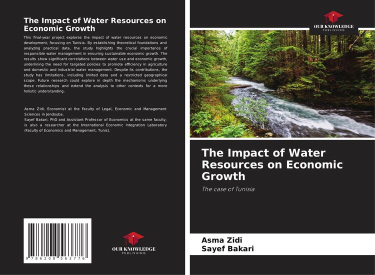 Produktbild: The Impact of Water Resources on Economic Growth