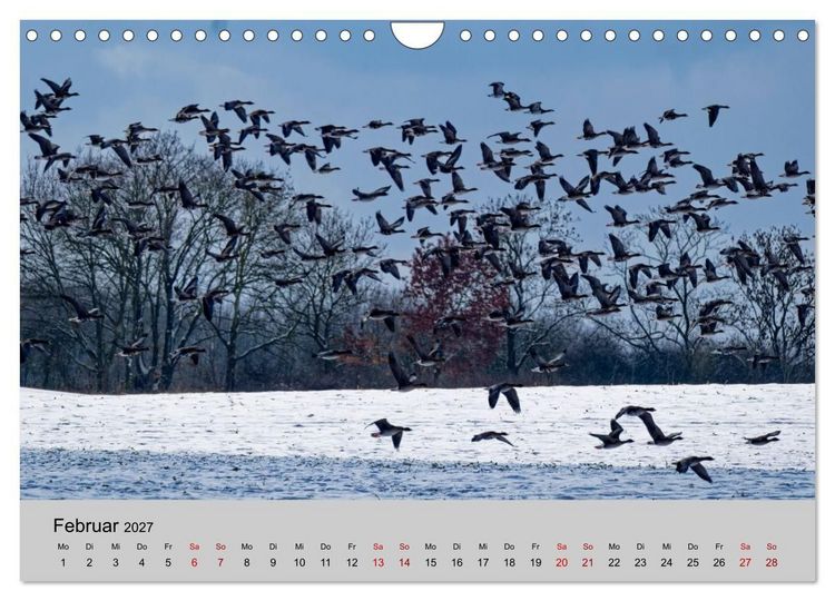 Produktbild: Biosph&auml;renreservat Schaalsee (Wandkalender 2027 DIN A4 quer), CALVENDO Monatskalender