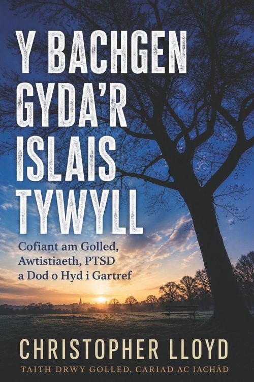 Produktbild: Y Bachgen Gyda'r Islais Tywyll
