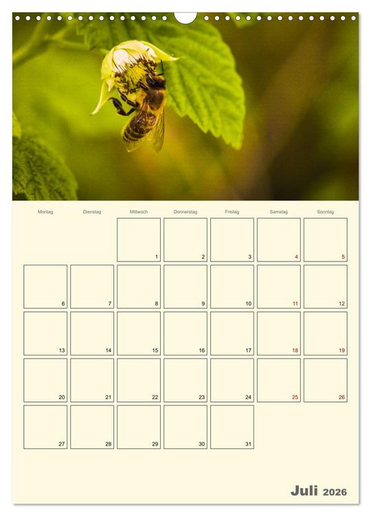 Produktbild: Bienen im Naturgarten (Wandkalender 2026 DIN A3 hoch), CALVENDO Monatskalender