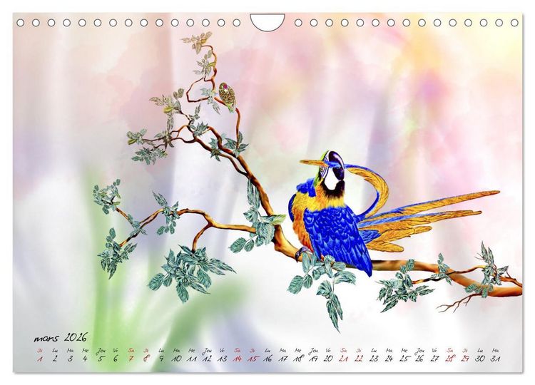 Produktbild: Dessins de perroquets (Calendrier mural 2026 DIN A4 vertical), CALVENDO calendrier mensuel
