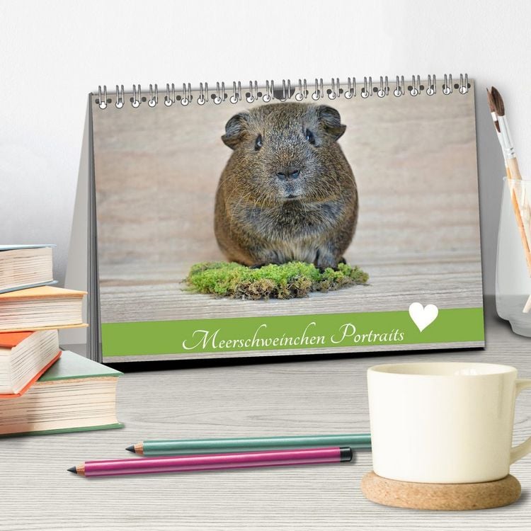 Produktbild: Meerschweinchen Portraits (Tischkalender 2026 DIN A5 quer), CALVENDO Monatskalender