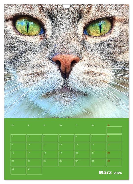Produktbild: Cat Faces - Charakterstarke Katzengesichter ganz nah (Wandkalender 2026 DIN A3 hoch), CALVENDO Monatskalender