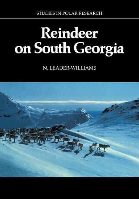 Produktbild: Reindeer on South Georgia