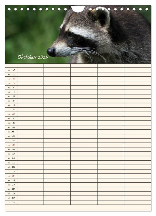 Produktbild: Waschb&auml;ren Familienplaner (Wandkalender 2026 DIN A4 hoch), CALVENDO Monatskalender