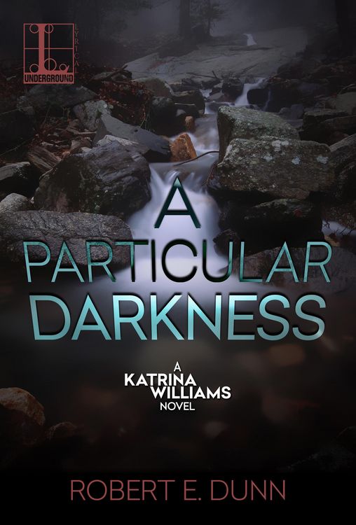 Produktbild: A Particular Darkness