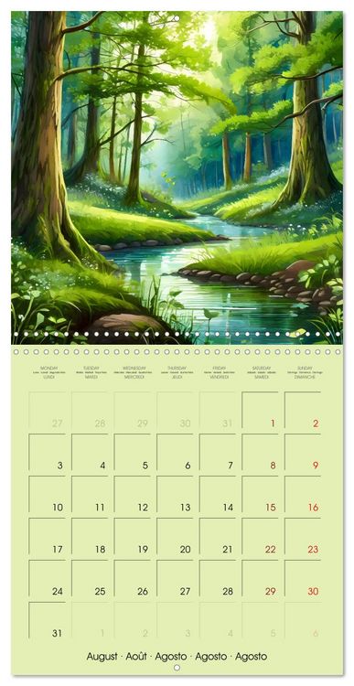 Produktbild: The forest through the seasons (Wall Calendar 2026 12 &times; 12 Inch) CALVENDO 12 Month Wall Calendar