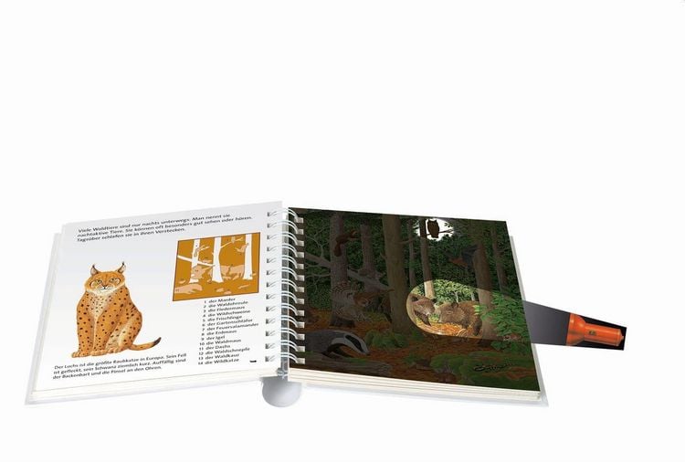 Produktbild: Tief im Wald