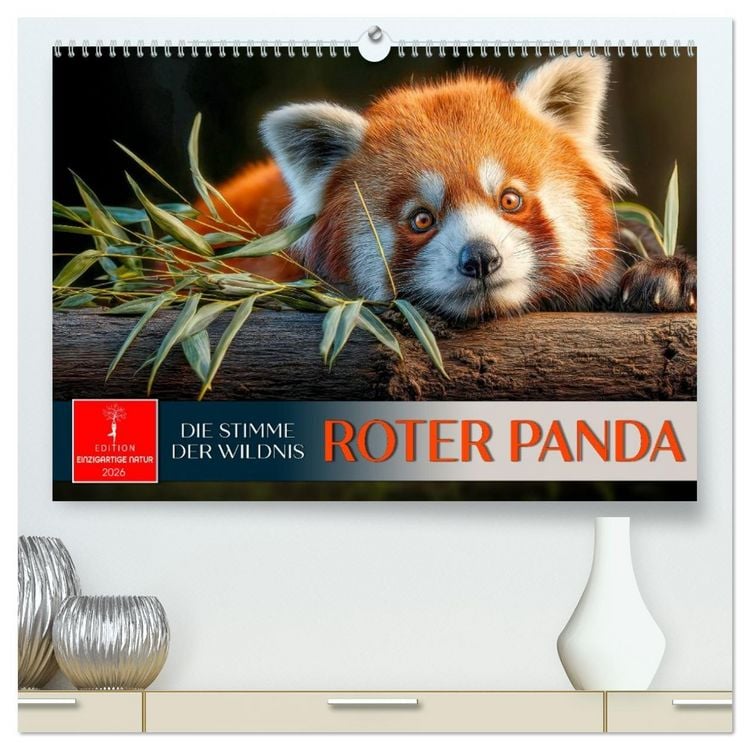Produktbild: Roter Panda - die Stimme der Wildnis (hochwertiger Premium Wandkalender 2026 DIN A2 quer), Kunstdruck in Hochglanz