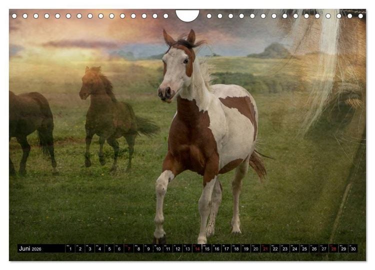Produktbild: Western-Feeling (Wandkalender 2026 DIN A4 quer), CALVENDO Monatskalender