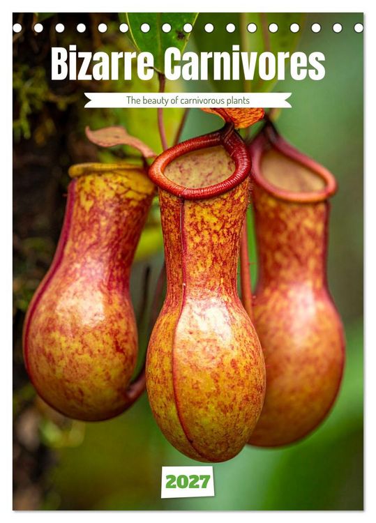 Produktbild: Bizarre Carnivores (Desk Calendar 2027 DIN A5 portrait), CALVENDO 12 Month DeskCalendar