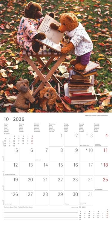 Produktbild: Teddy 2026 - Broschürenkalender 30x30 cm (30x60 geöffnet) - Kalender mit Platz für Notizen - Bildkalender - Wandkalender - mit herausnehmbarem Poster