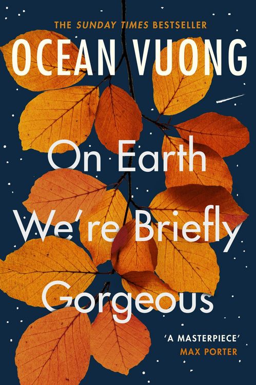 Produktbild: On Earth We're Briefly Gorgeous