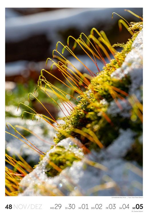 Produktbild: Natur Wochenkalender 2027