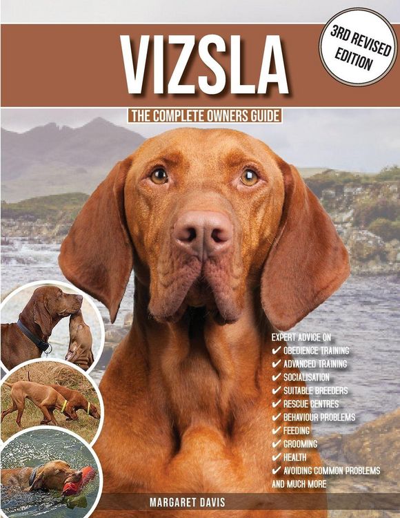 Produktbild: Vizsla