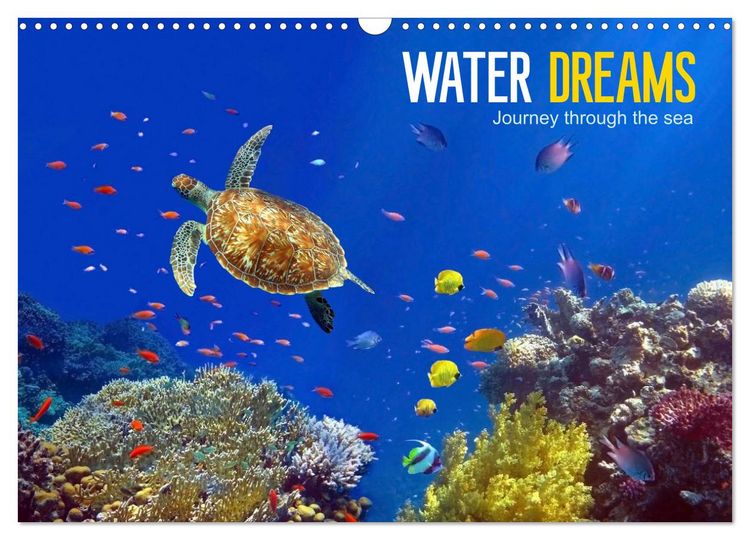 Produktbild: Water Dreams-journey through the sea (Wall Calendar 2026 DIN A3 landscape), CALVENDO 12 Month Wall Calendar