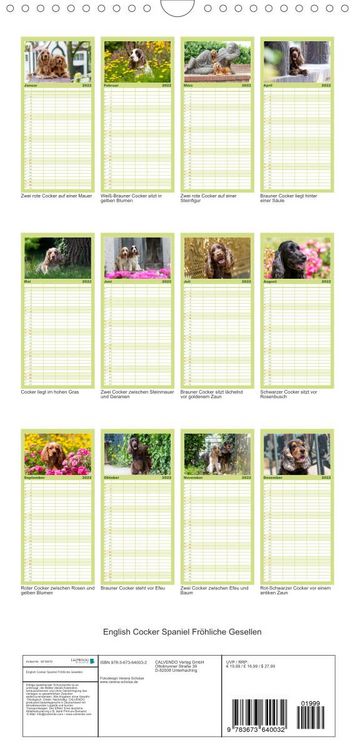 Produktbild: Familienplaner English Cocker Spaniel - Fr&ouml;hliche Gesellen (Wandkalender 2022 , 21 cm x 45 cm, hoch)
