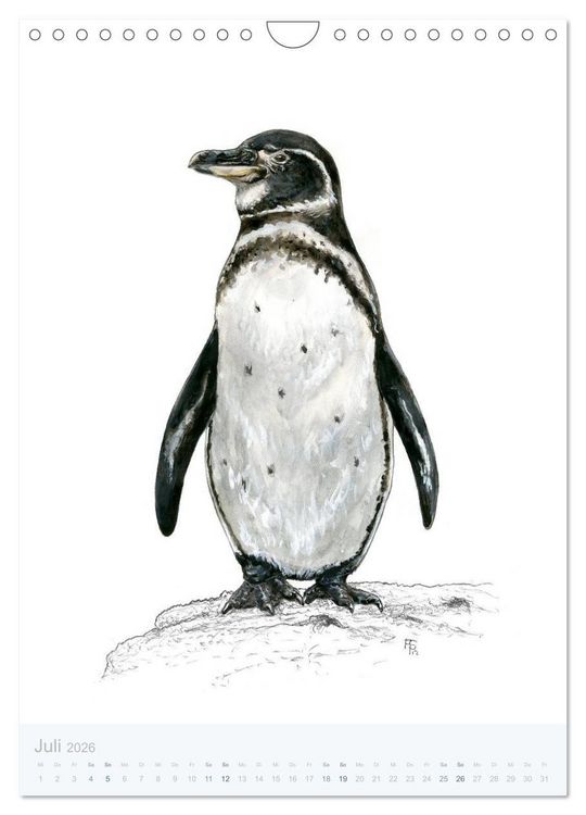 Produktbild: Pinguine - 13 Illustrationen (Wandkalender 2026 DIN A4 hoch), CALVENDO Monatskalender