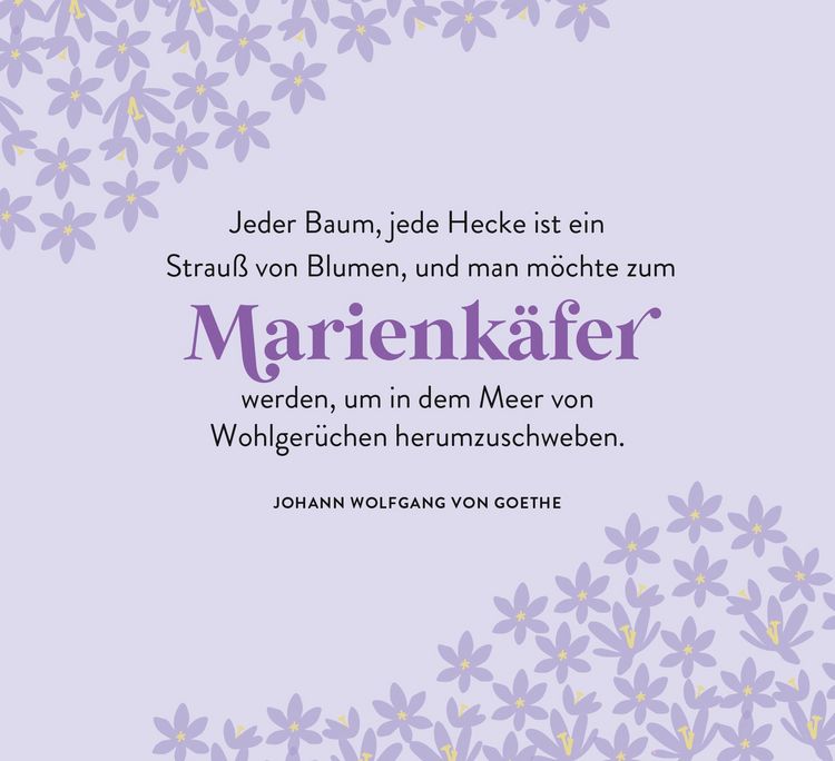 Produktbild: Ein Meer aus Bl&uuml;ten