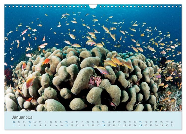 Produktbild: Abenteuer Unterwasser (Wandkalender 2026 DIN A3 quer), CALVENDO Monatskalender