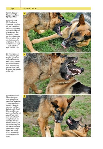Produktbild: Ausdrucksverhalten beim Hund