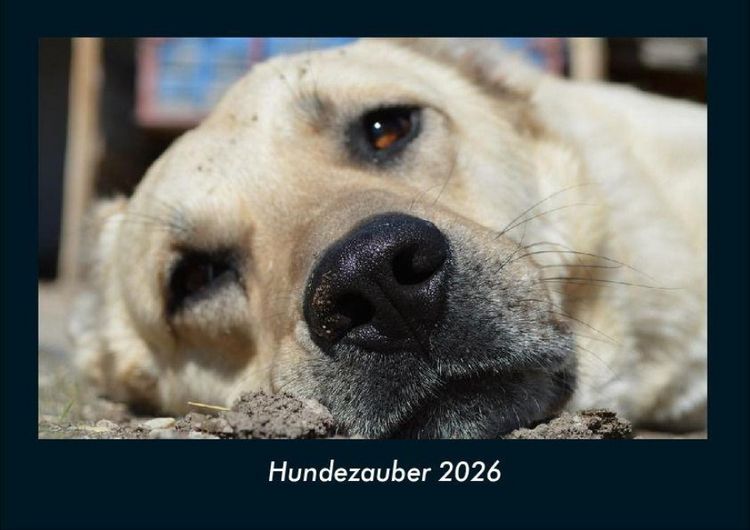 Produktbild: Hundezauber 2026 Fotokalender DIN A4