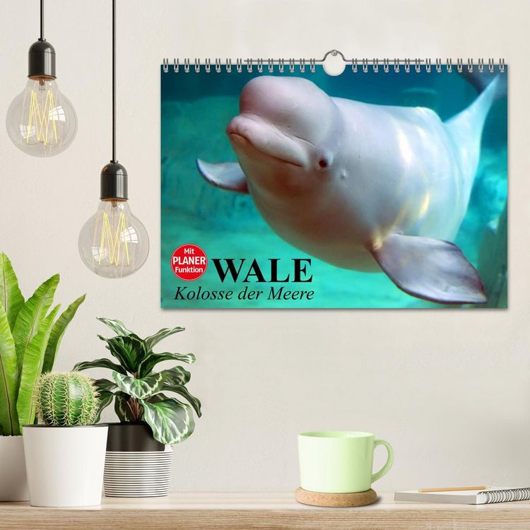 Produktbild: Wale. Kolosse der Meere (Wandkalender 2026 DIN A4 quer), CALVENDO Monatskalender