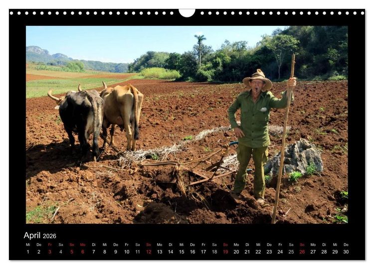 Produktbild: Viva Cuba! (Wandkalender 2026 DIN A3 quer), CALVENDO Monatskalender
