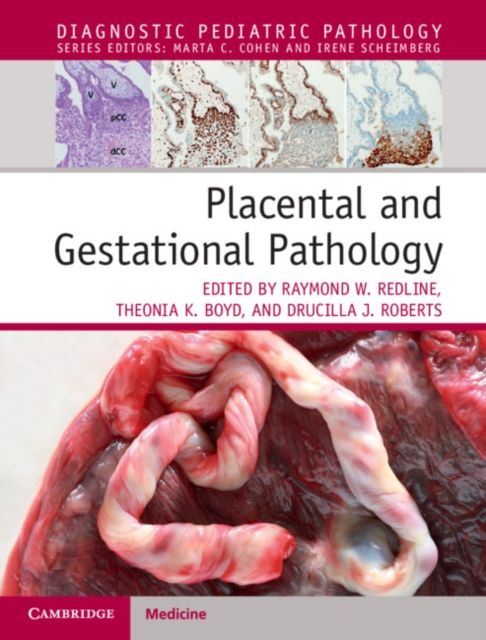 Produktbild: Placental and Gestational Pathology Hardback with Online Resource