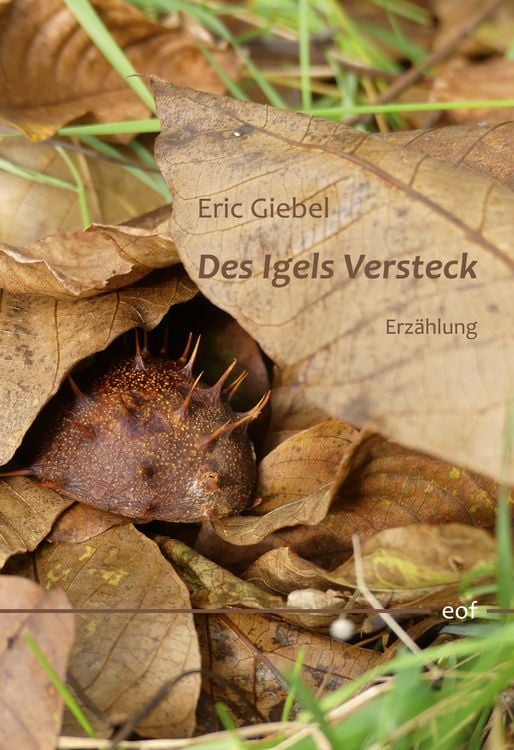 Bild vom Artikel Des Igels Versteck vom Autor Eric Giebel
