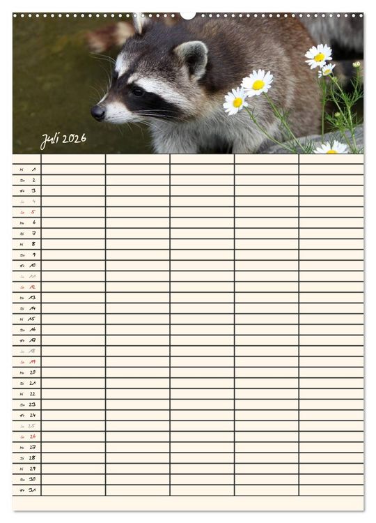 Produktbild: Waschb&auml;ren Familienplaner (Wandkalender 2026 DIN A2 hoch), CALVENDO Monatskalender