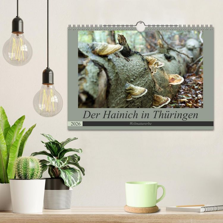 Produktbild: Der Hainich in Th&uuml;ringen - Weltnaturerbe (Wandkalender 2026 DIN A4 quer), CALVENDO Monatskalender