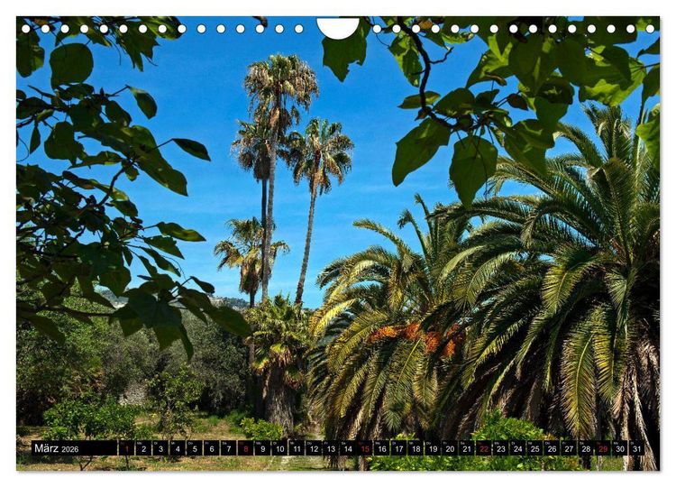 Produktbild: Zauberhafte Riviera - Die Hanbury G&auml;rten (Wandkalender 2026 DIN A4 quer), CALVENDO Monatskalender
