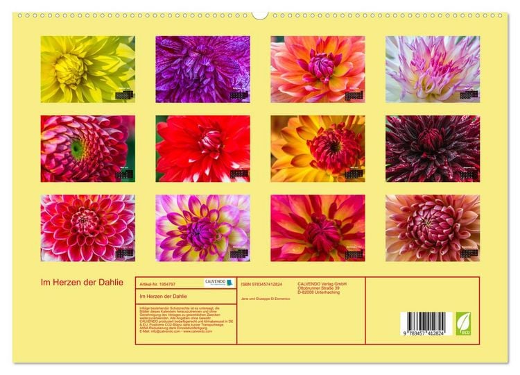 Produktbild: Im Herzen der Dahlie (hochwertiger Premium Wandkalender 2026 DIN A2 quer), Kunstdruck in Hochglanz