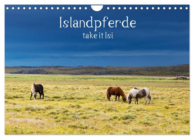 Produktbild: Islandpferde take it Isi (Wandkalender 2026 DIN A4 quer), CALVENDO Monatskalender