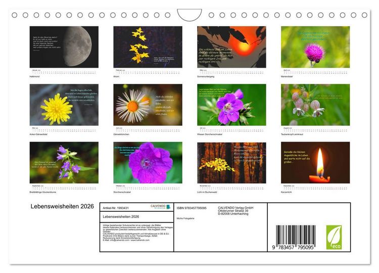 Produktbild: Lebensweisheiten 2026 (Wandkalender 2026 DIN A4 quer), CALVENDO Monatskalender