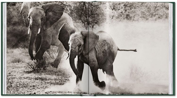 Produktbild: Peter Beard