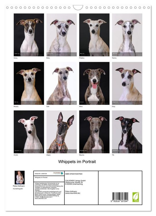 Produktbild: Whippets im Portrait (Wandkalender 2026 DIN A3 hoch), CALVENDO Monatskalender