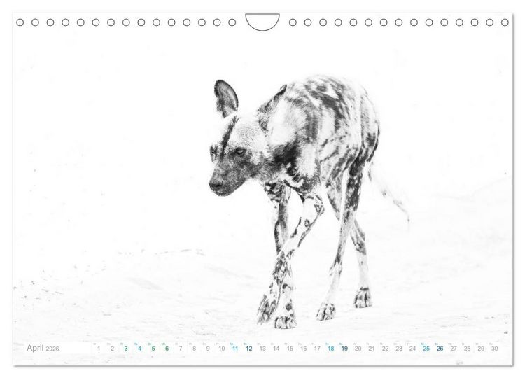 Produktbild: AFRIKA - Schwarz-weiss Fotografien im modernen "High Key" Look (Wandkalender 2026 DIN A4 quer), CALVENDO Monatskalender