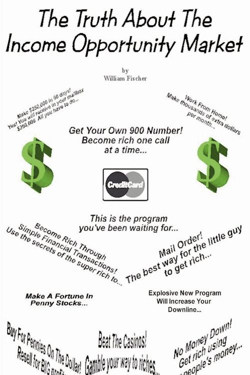 Produktbild: The Truth about the Income Opportunity Market