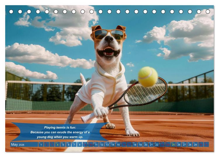 Produktbild: Funny animals as tennis players (Desk Calendar 2026 DIN A5 landscape), CALVENDO 12 Month DeskCalendar