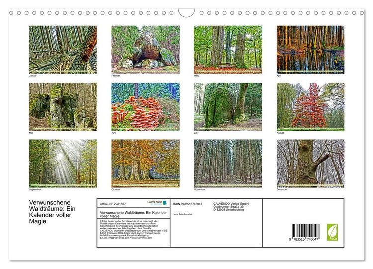 Produktbild: Verwunschene Waldtr&auml;ume: Ein Kalender voller Magie (Wandkalender 2026 DIN A3 quer), CALVENDO Monatskalender