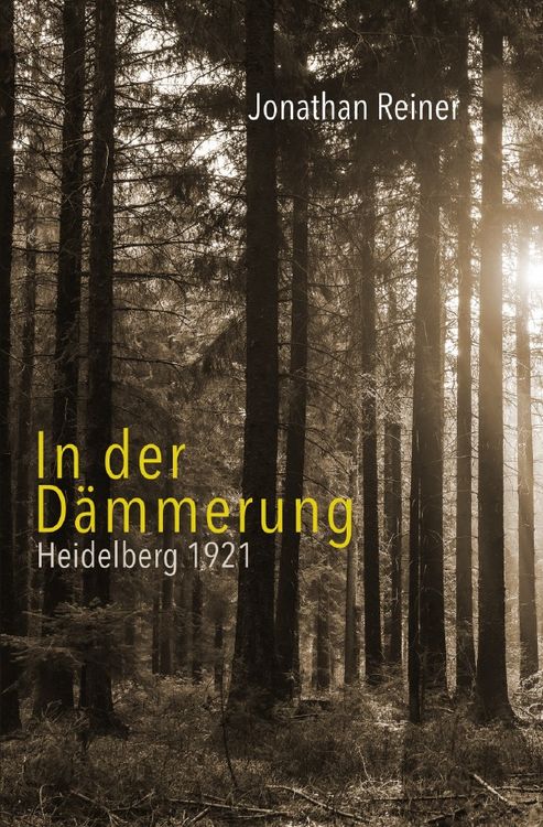 Produktbild: In der D&auml;mmerung
