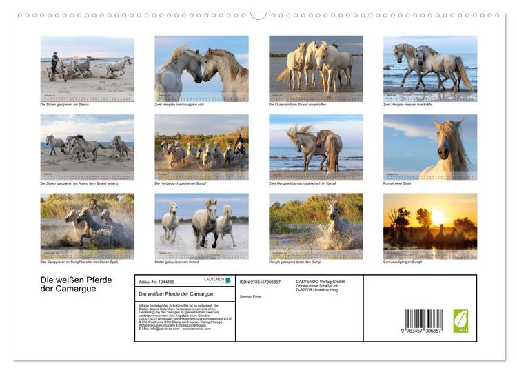 Produktbild: Die wei&szlig;en Pferde der Camargue (hochwertiger Premium Wandkalender 2026 DIN A2 quer), Kunstdruck in Hochglanz