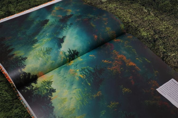 Produktbild: B&auml;ume - Eine Natur- und Kulturgeschichte