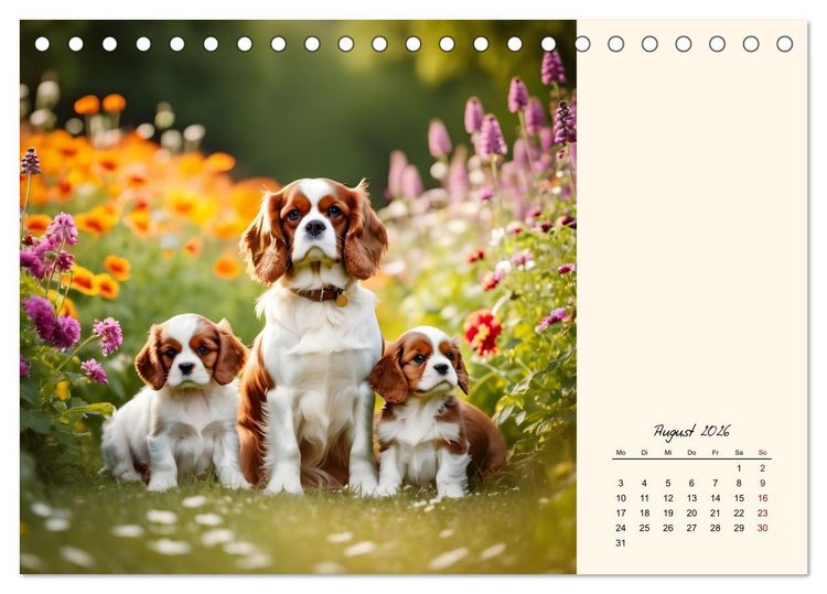 Produktbild: Goldige Kavalier King Charles Spaniels (Tischkalender 2026 DIN A5 quer), CALVENDO Monatskalender