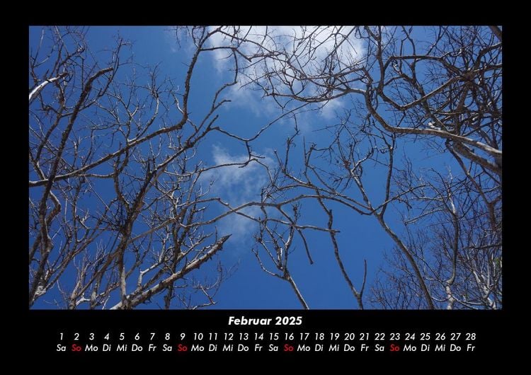 Produktbild: Bilder der Natur 2025 Fotokalender DIN A3
