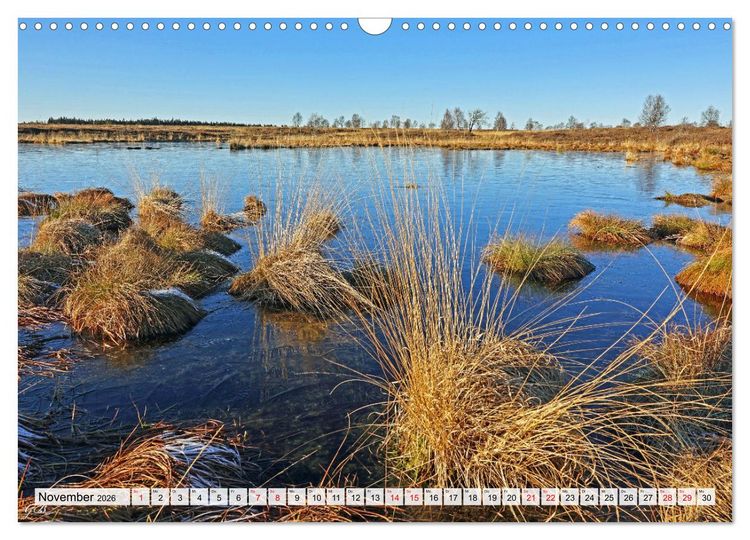 Produktbild: Die Eifel und das Hohe Venn (Wandkalender 2026 DIN A3 quer), CALVENDO Monatskalender