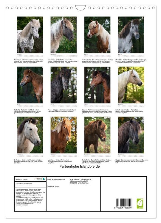 Produktbild: Farbenfrohe Islandpferde (Wandkalender 2026 DIN A3 hoch), CALVENDO Monatskalender